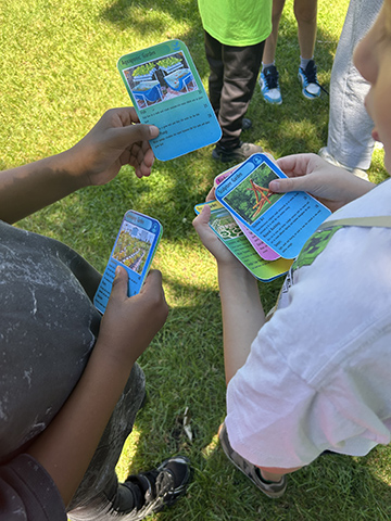 Using a card trading game, campers learn about different types of gardens and decide what features most inspire them.